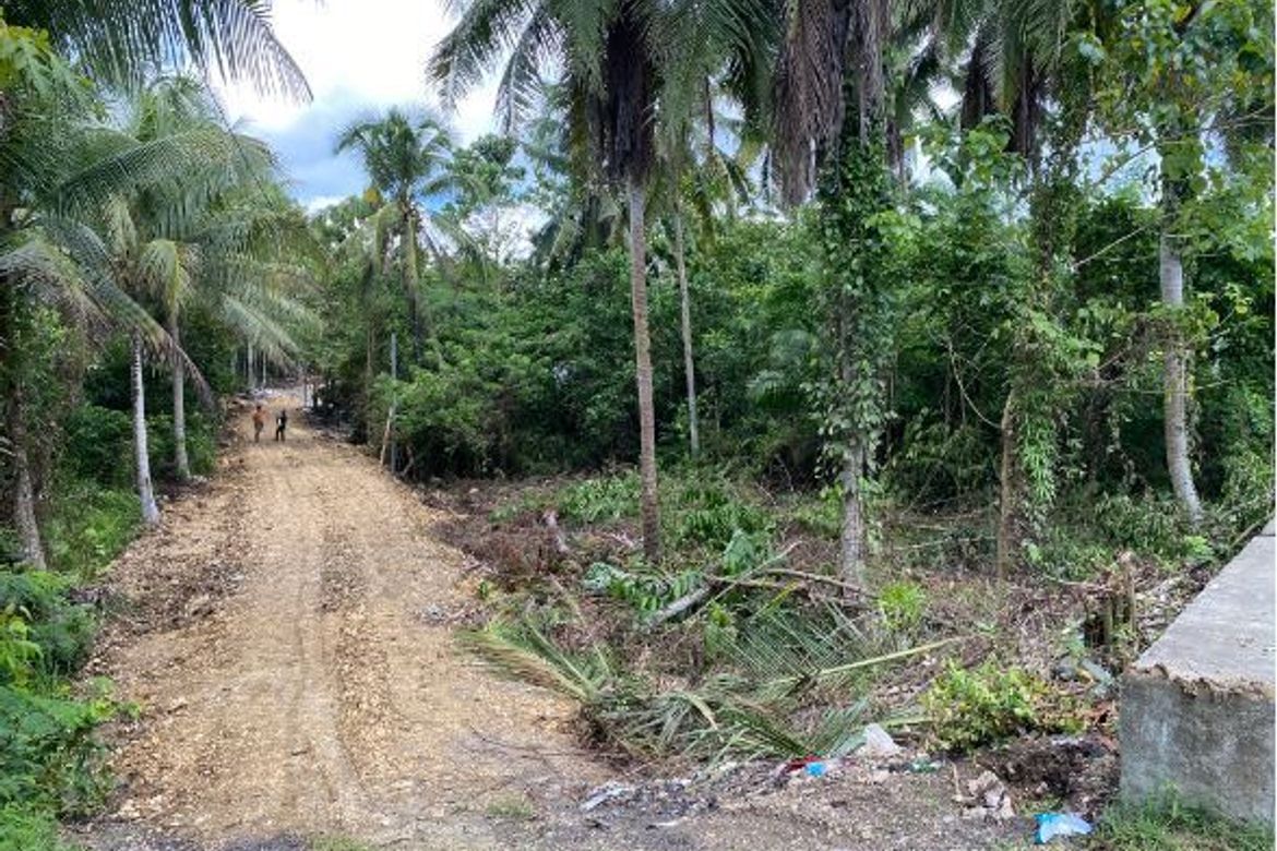 Land for Sale in San Isidro, Tagbilaran, Bohol – photo 5