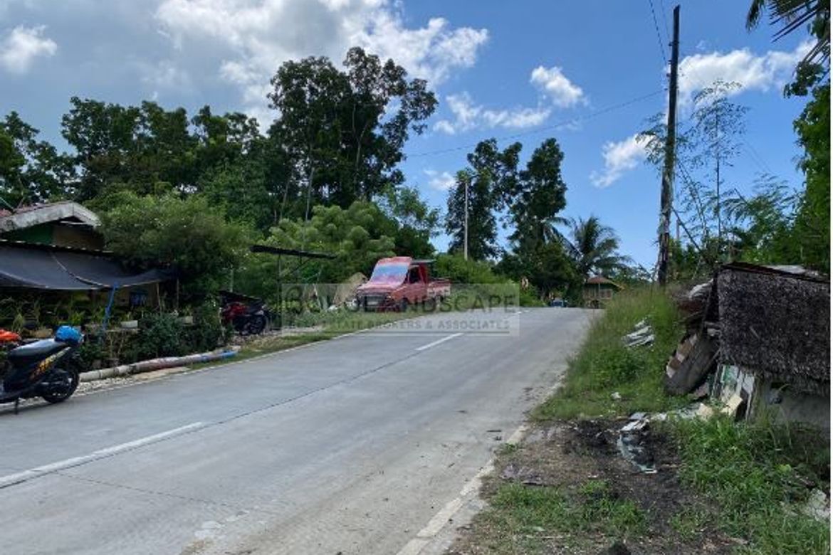 Land for Sale in San Isidro, Tagbilaran, Bohol – photo 6