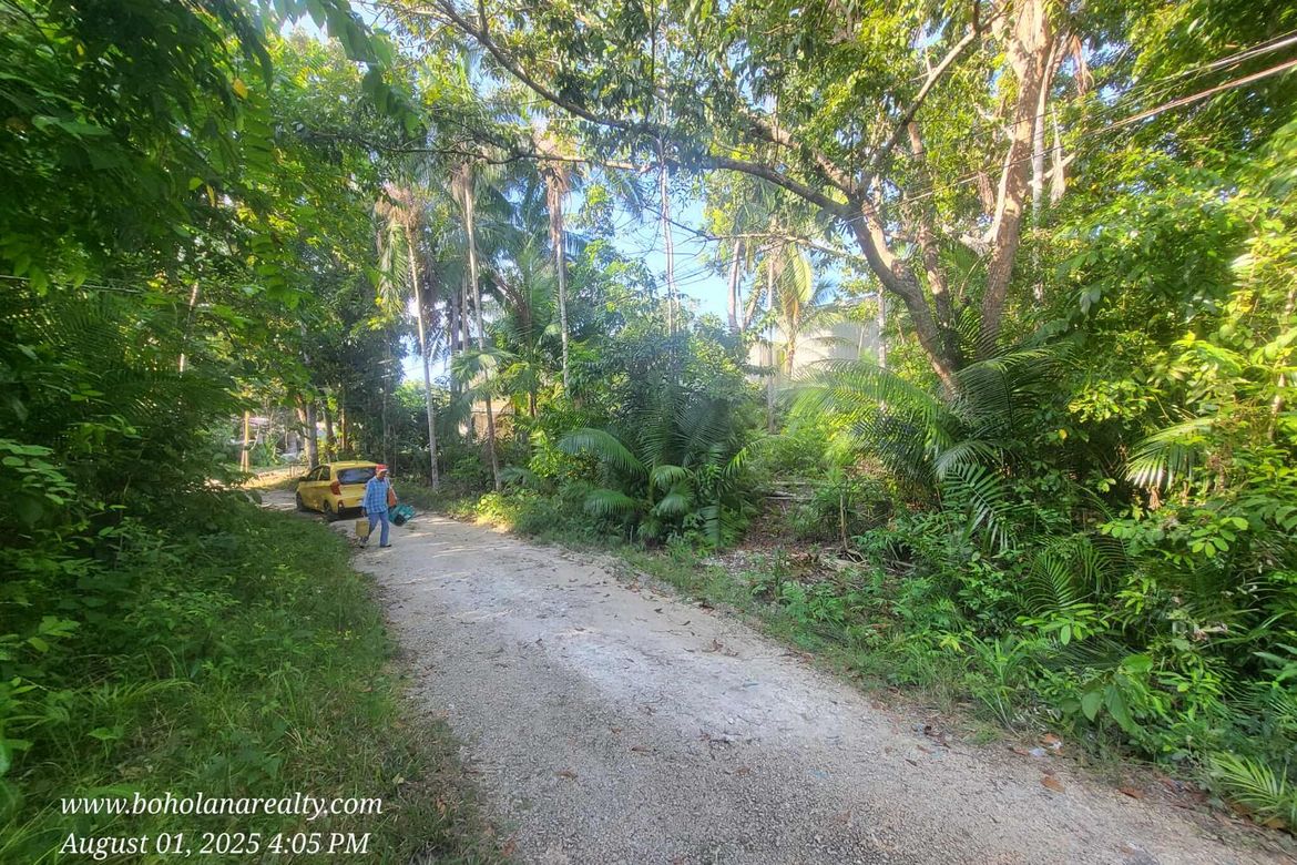 Land for Sale in San Isidro, Tagbilaran, Bohol – photo 2