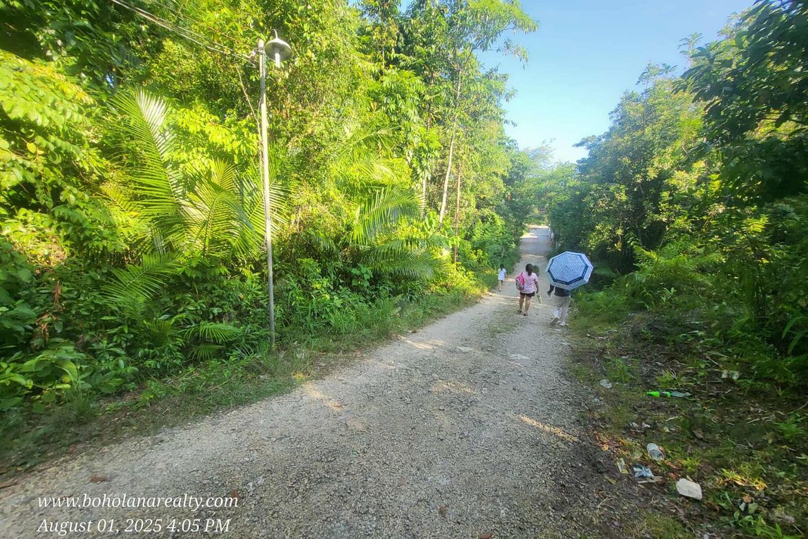 Land for Sale in San Isidro, Tagbilaran, Bohol