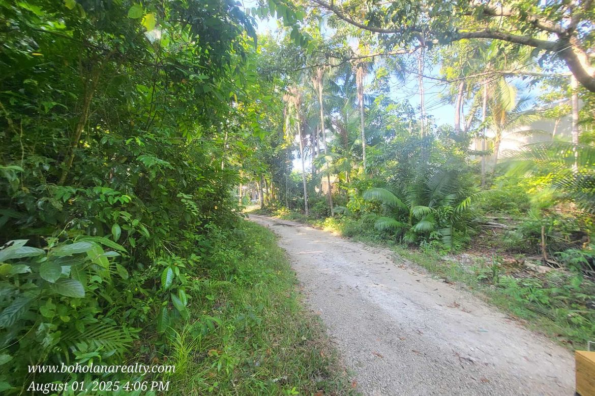 Land for Sale in San Isidro, Tagbilaran, Bohol – photo 6