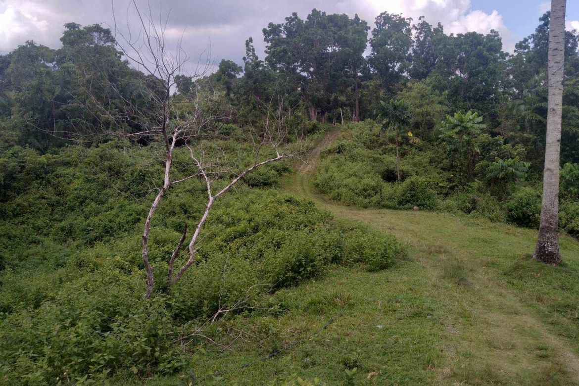 Land for Sale in San Isidro, Tagbilaran, Bohol