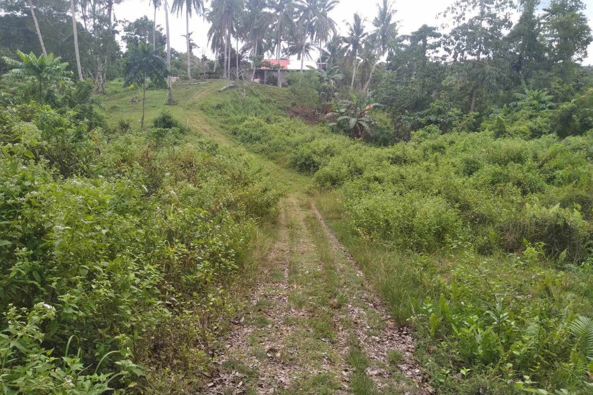 Land for Sale in San Isidro, Tagbilaran, Bohol – photo 2