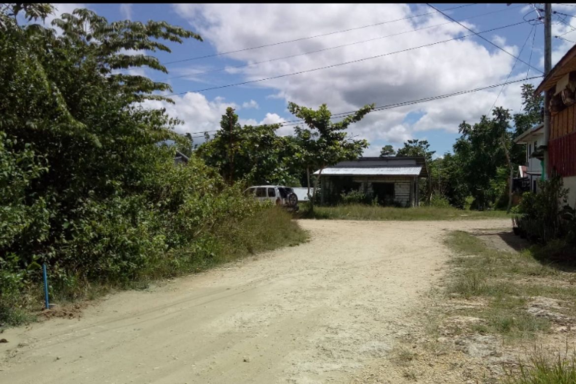 Land for Sale in San Isidro, Tagbilaran, Bohol – photo 2