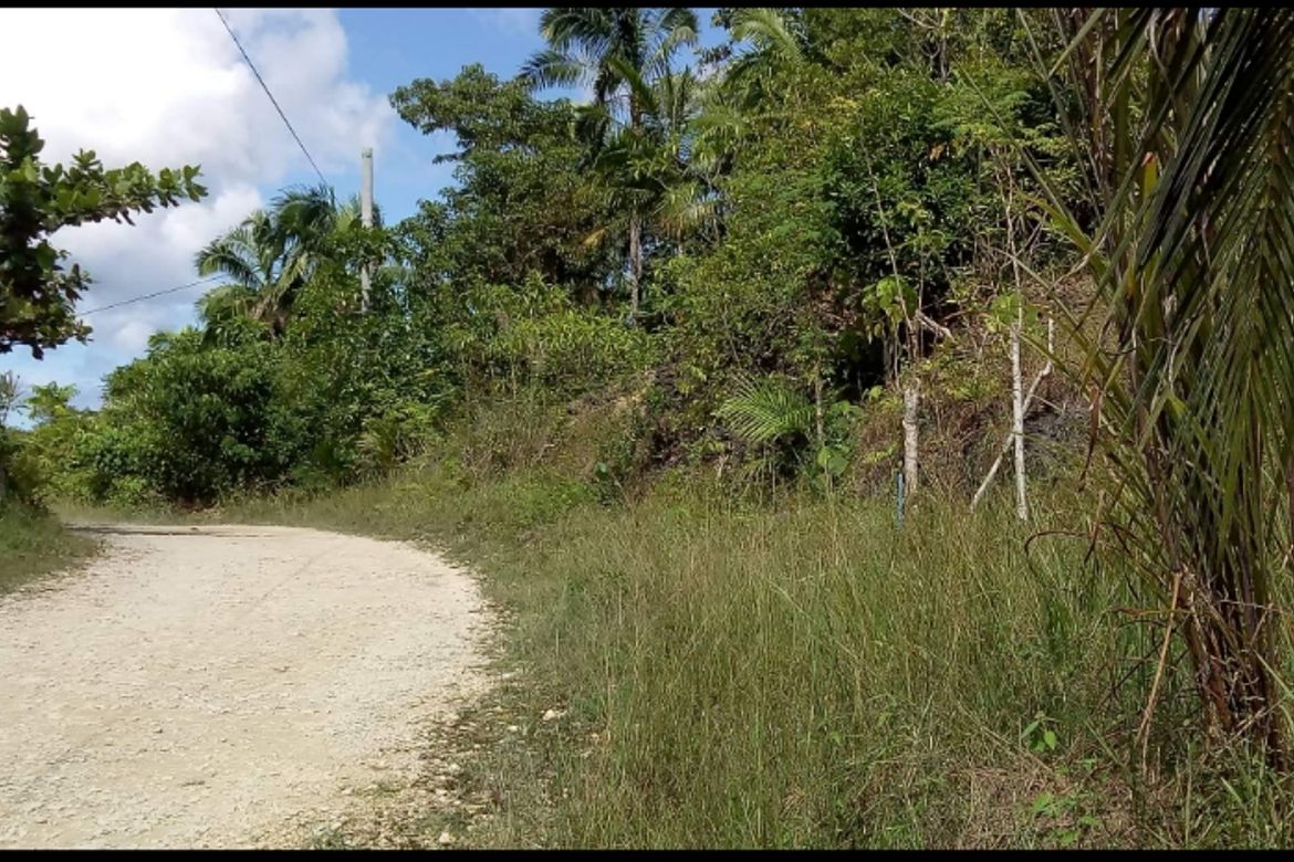 Land for Sale in San Isidro, Tagbilaran, Bohol – photo 3