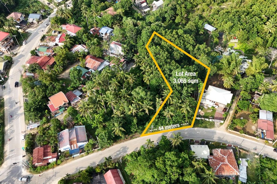 Land for Sale in San Isidro, Tagbilaran, Bohol