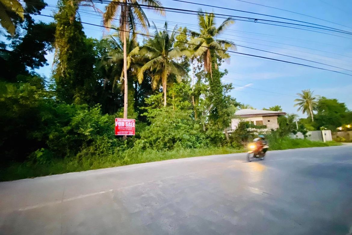 Land for Sale in San Isidro, Tagbilaran, Bohol – photo 3