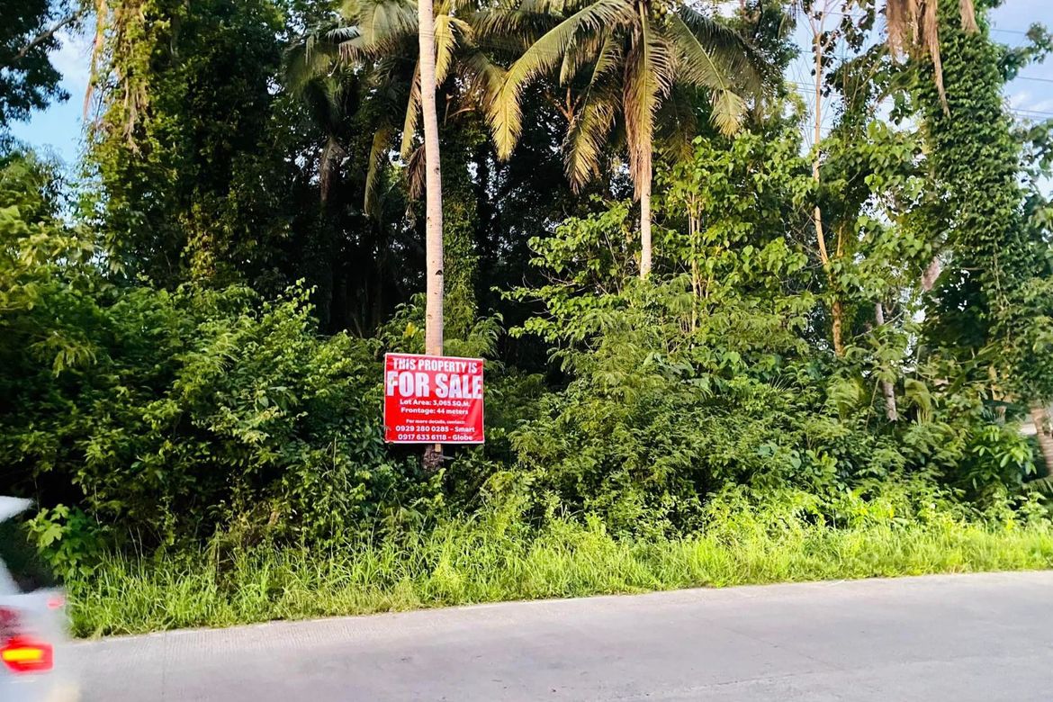 Land for Sale in San Isidro, Tagbilaran, Bohol – photo 4