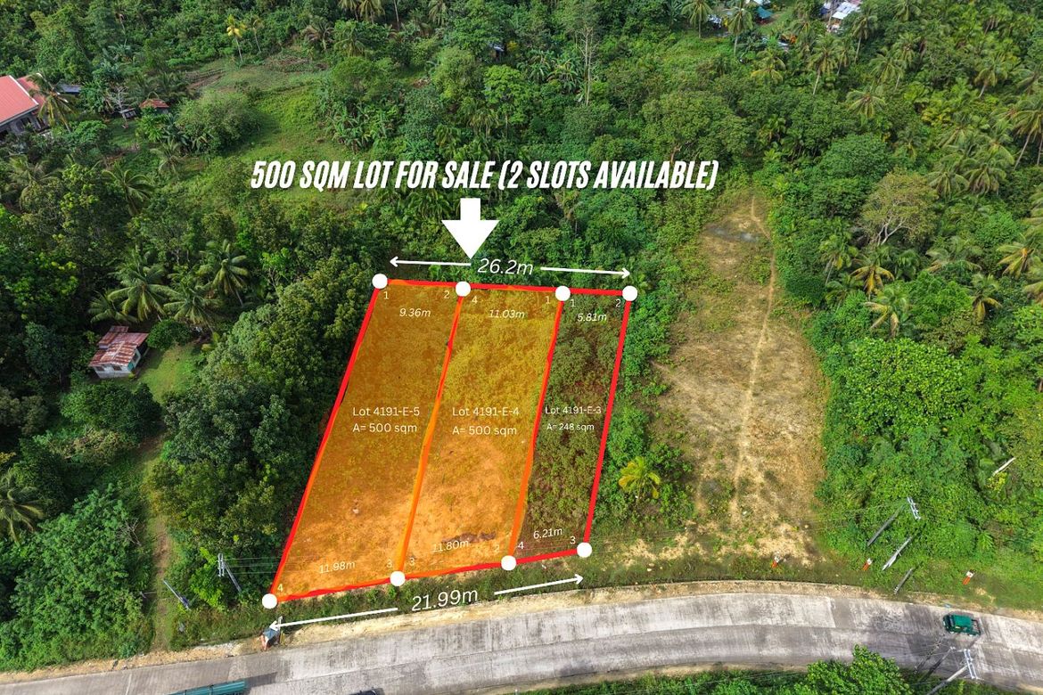 Land for Sale in San Isidro, Tagbilaran, Bohol