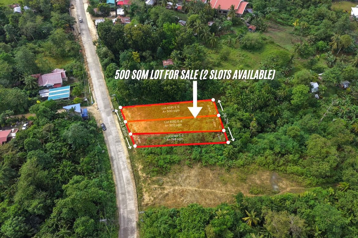 Land for Sale in San Isidro, Tagbilaran, Bohol – photo 2