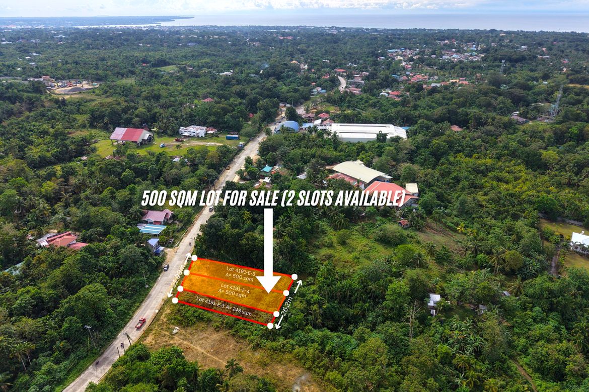Land for Sale in San Isidro, Tagbilaran, Bohol – photo 3