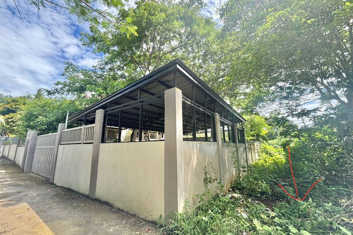 Land for Sale in San Isidro, Tagbilaran, Bohol