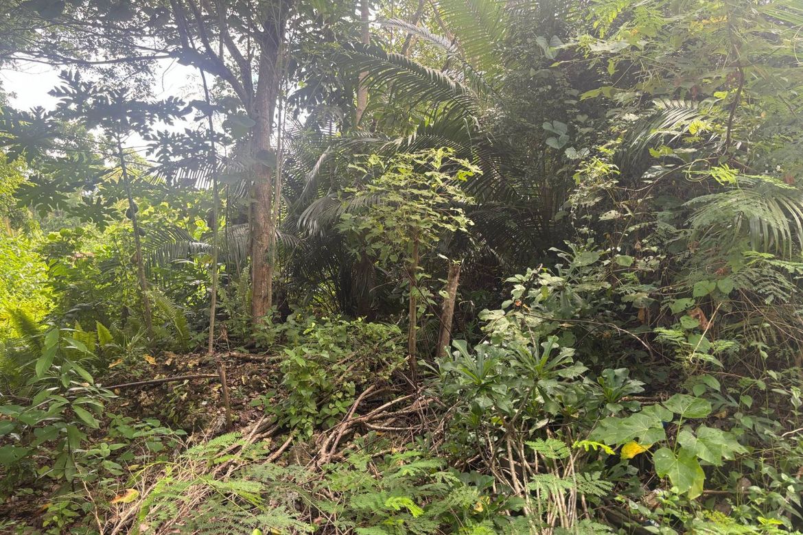 Land for Sale in San Isidro, Tagbilaran, Bohol – photo 3