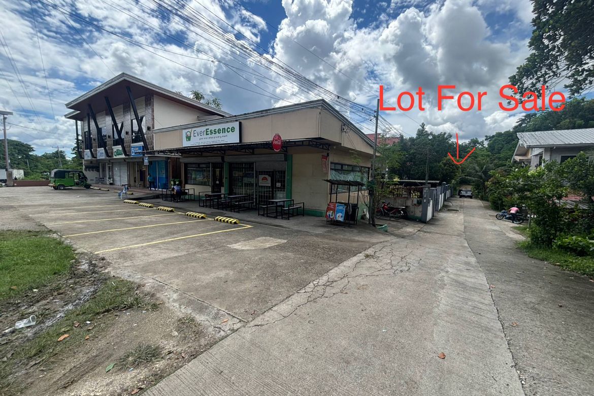 Land for Sale in San Isidro, Tagbilaran, Bohol – photo 4