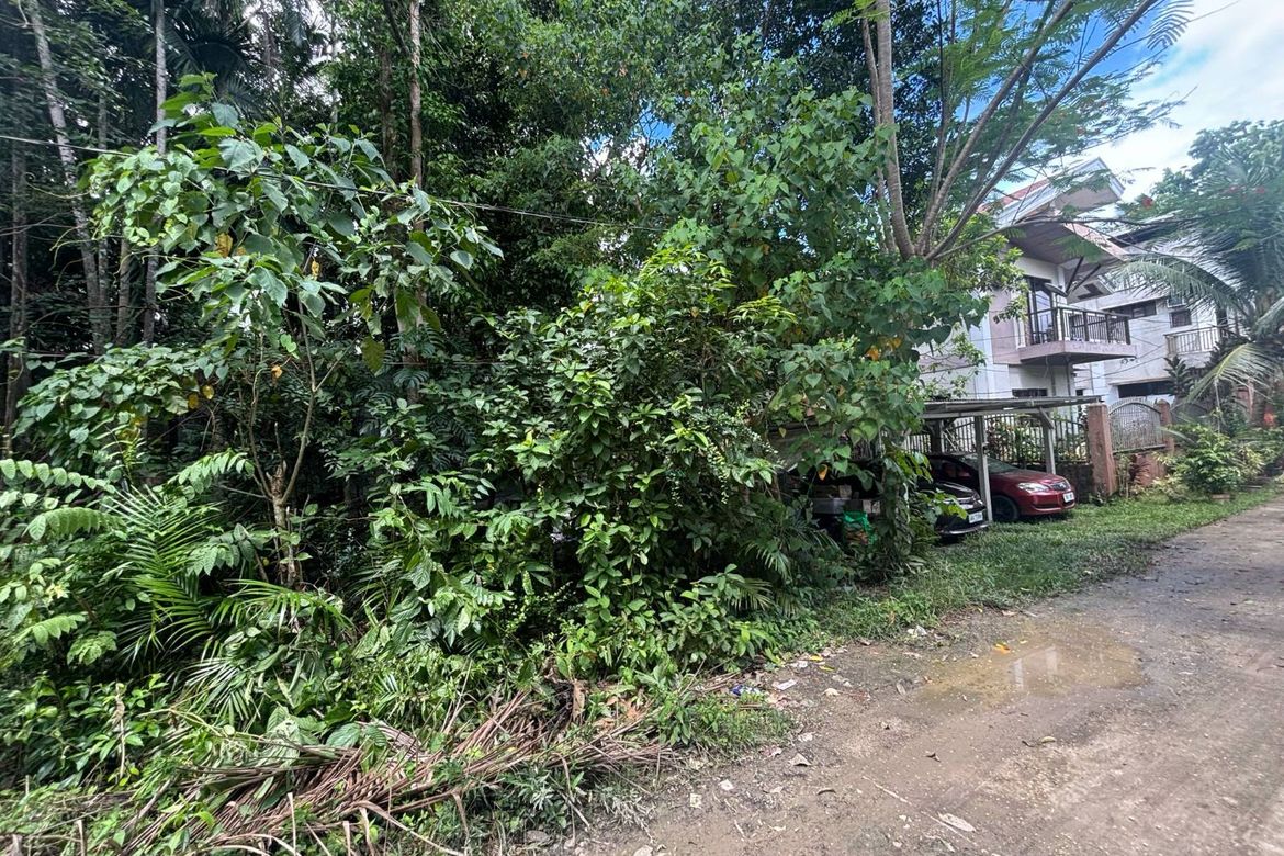 Land for Sale in San Isidro, Tagbilaran, Bohol – photo 5