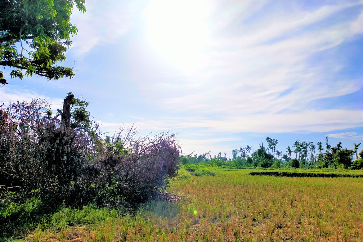 Land for Sale in San Isidro, Talibon, Bohol – photo 7