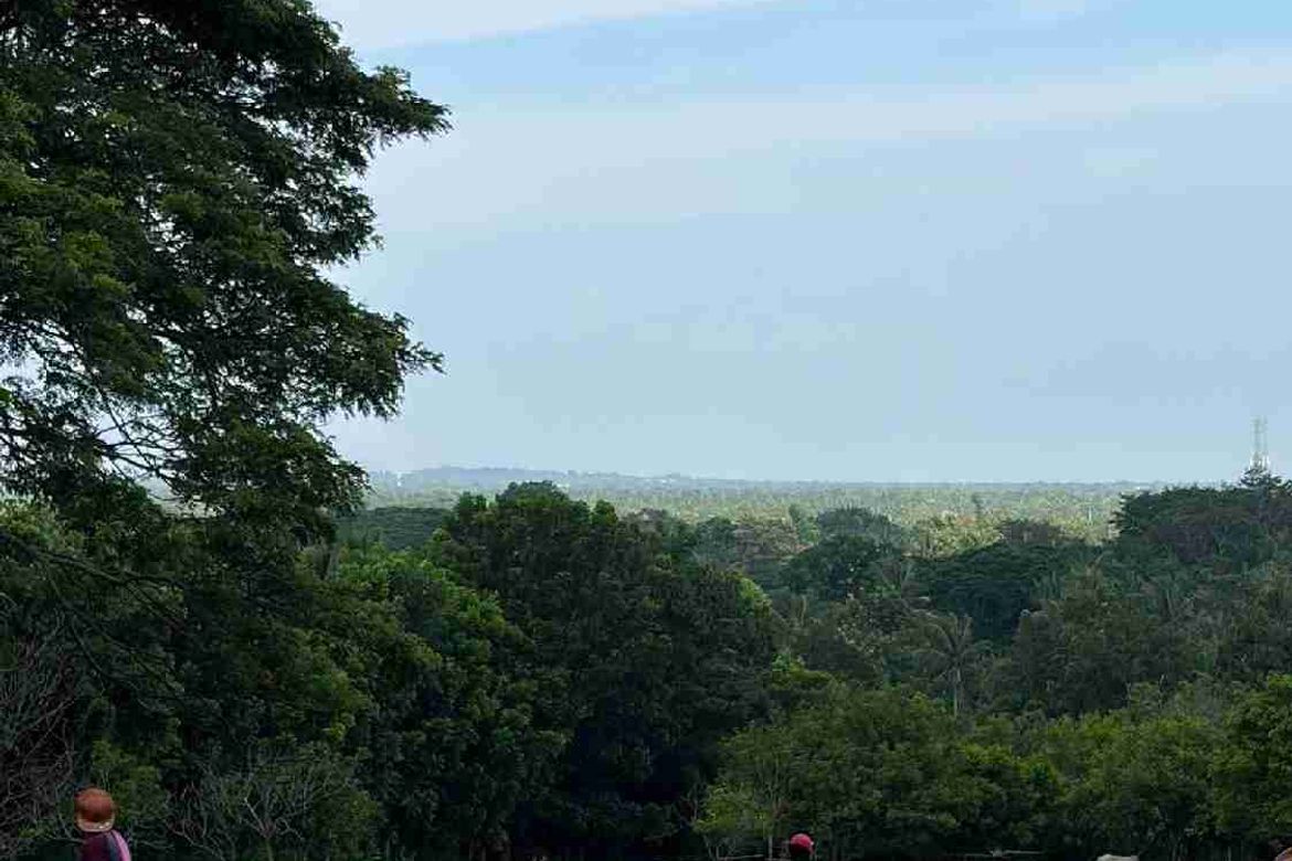 Land for Sale in San Isidro, Tiaong, Quezon – photo 6
