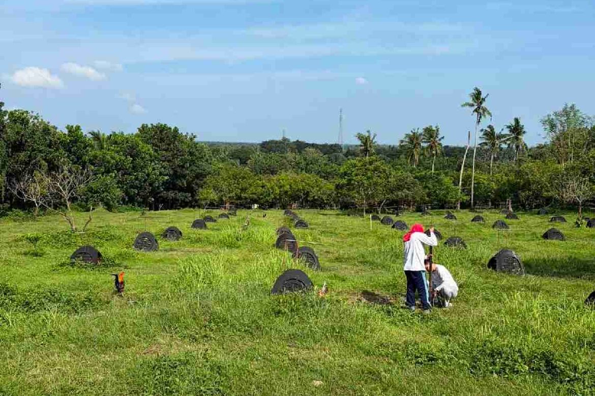 Land for Sale in San Isidro, Tiaong, Quezon – photo 7