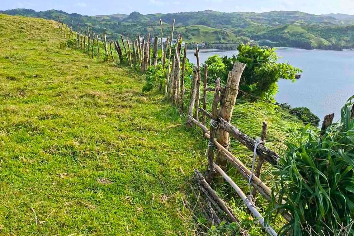 Land for Sale in San Joaquin, Basco, Batanes – photo 3