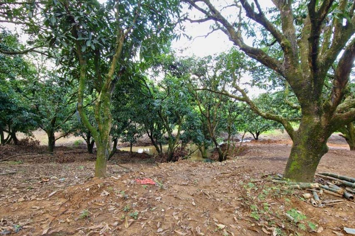 Land for Sale in San Jose, Antipolo, Rizal – photo 3