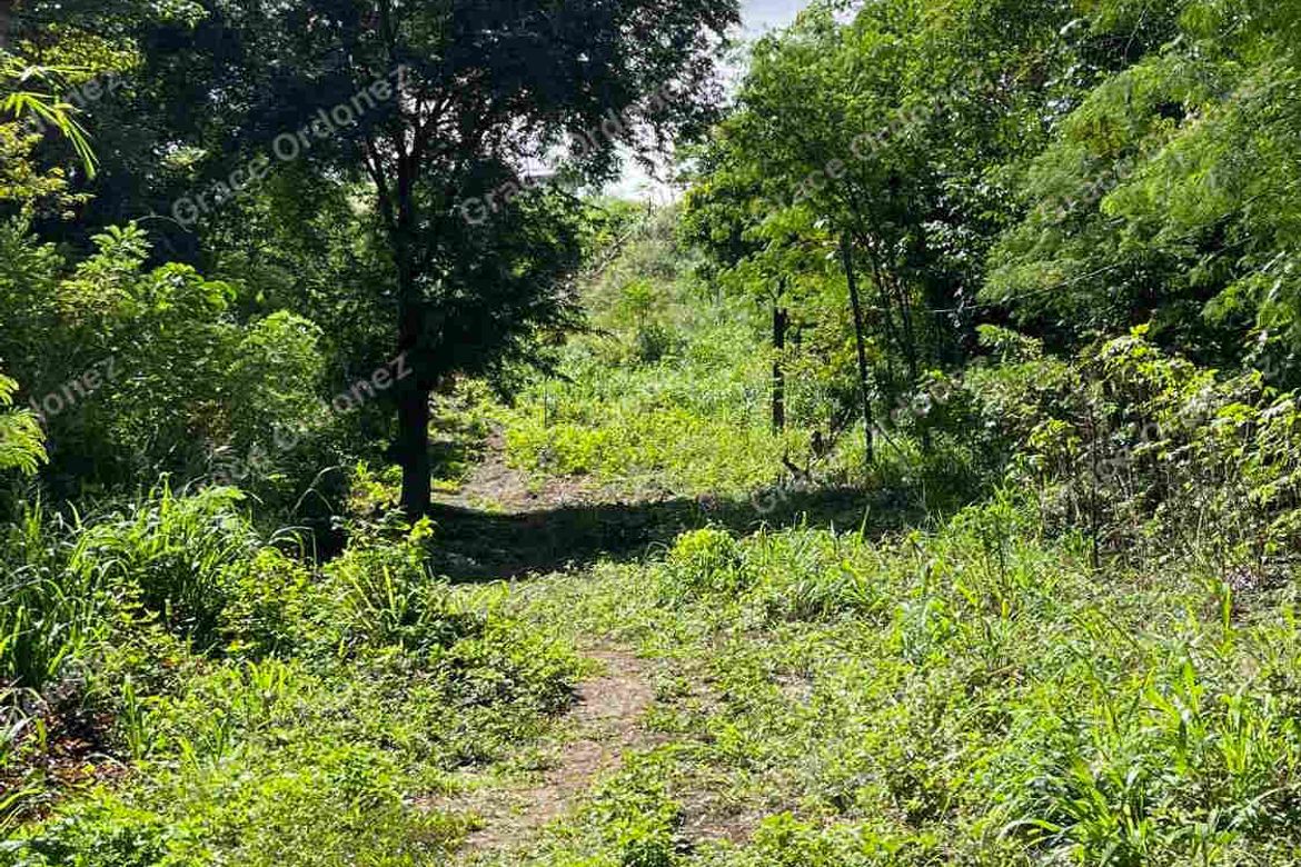 Land for Sale in San Jose, Antipolo, Rizal
