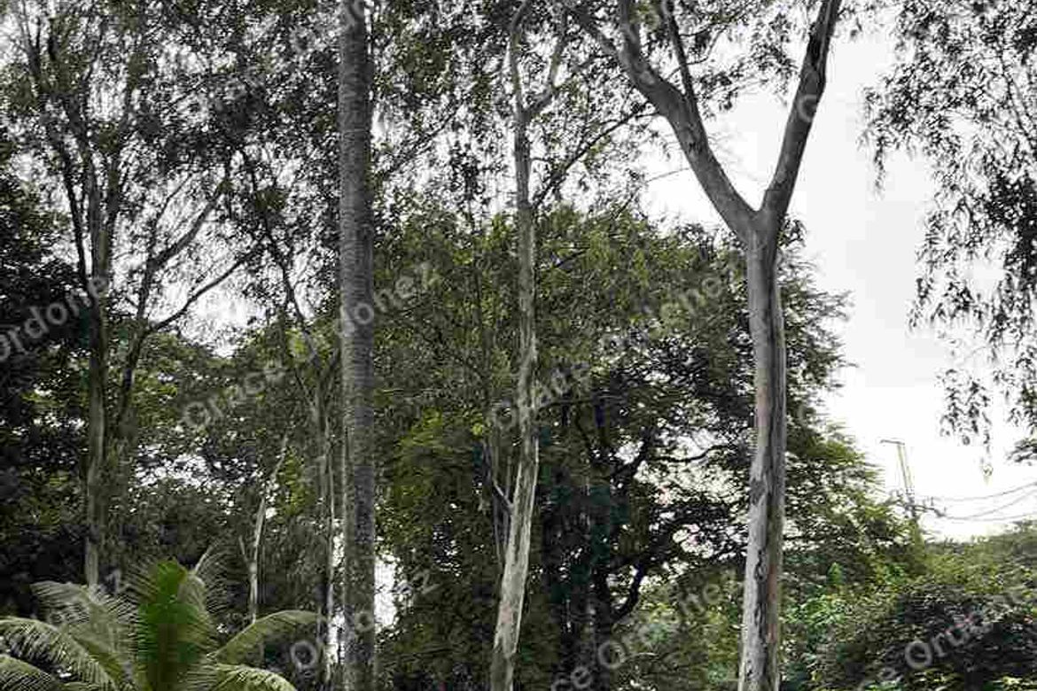 Land for Sale in San Jose, Antipolo, Rizal – photo 2