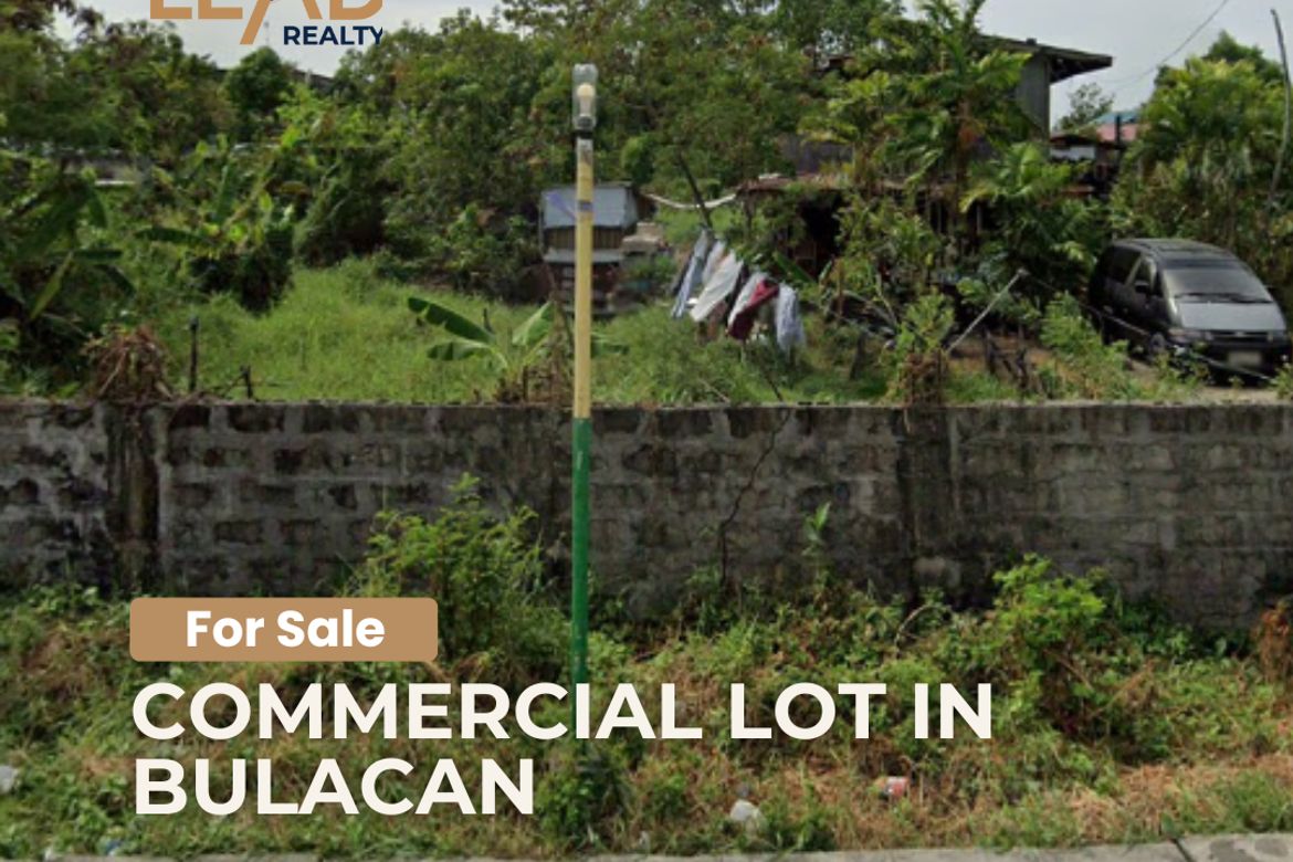 Land for Sale in San Jose, Bulacan, Bulacan