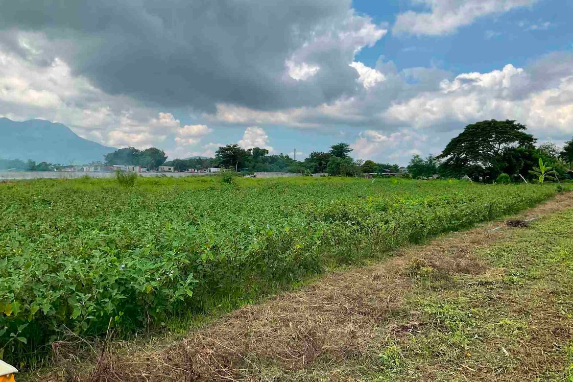 Land for Sale in San Jose, Calamba, Laguna – photo 3