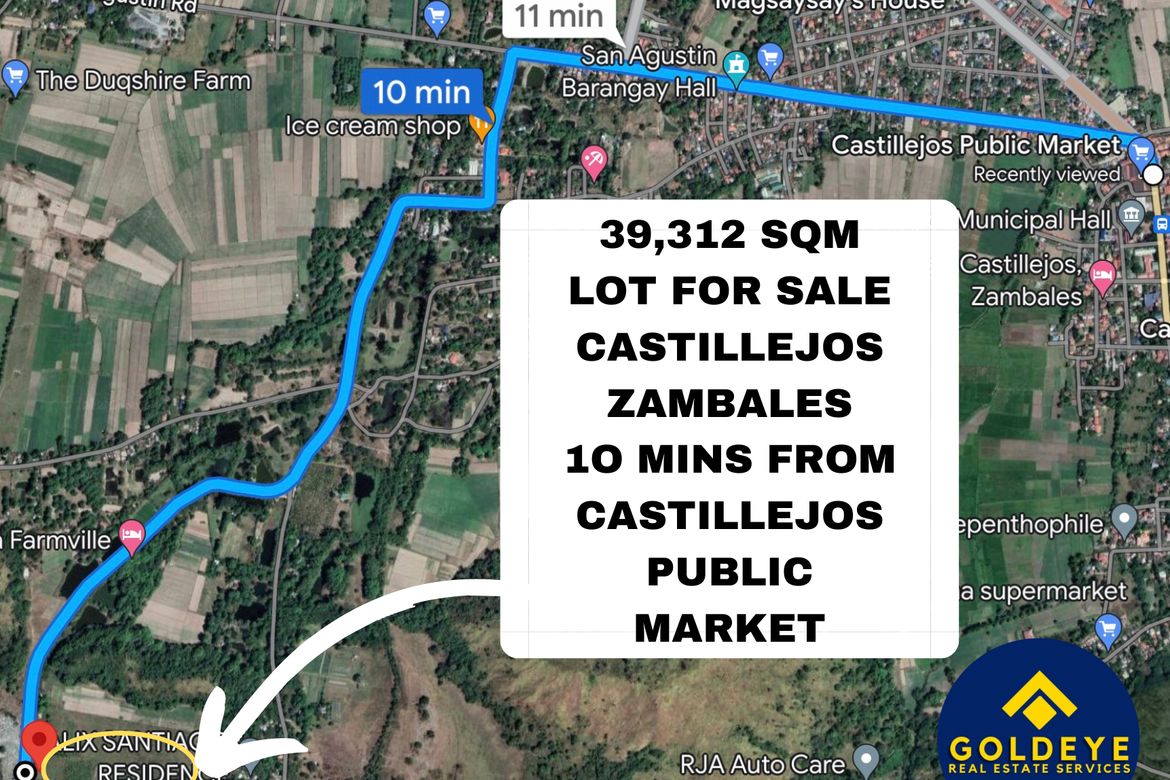 Land for Sale in San Jose, Castillejos, Zambales – photo 2