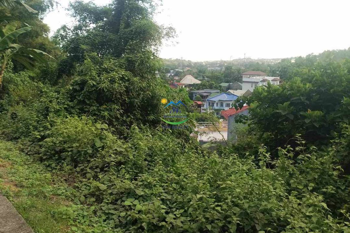 Land for Sale in San Jose, Cebu City, Cebu – photo 3