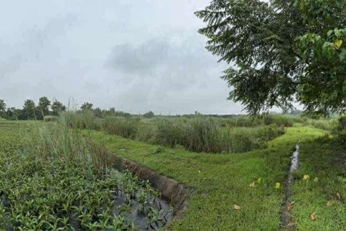 Land for Sale in San Jose, Concepcion, Tarlac