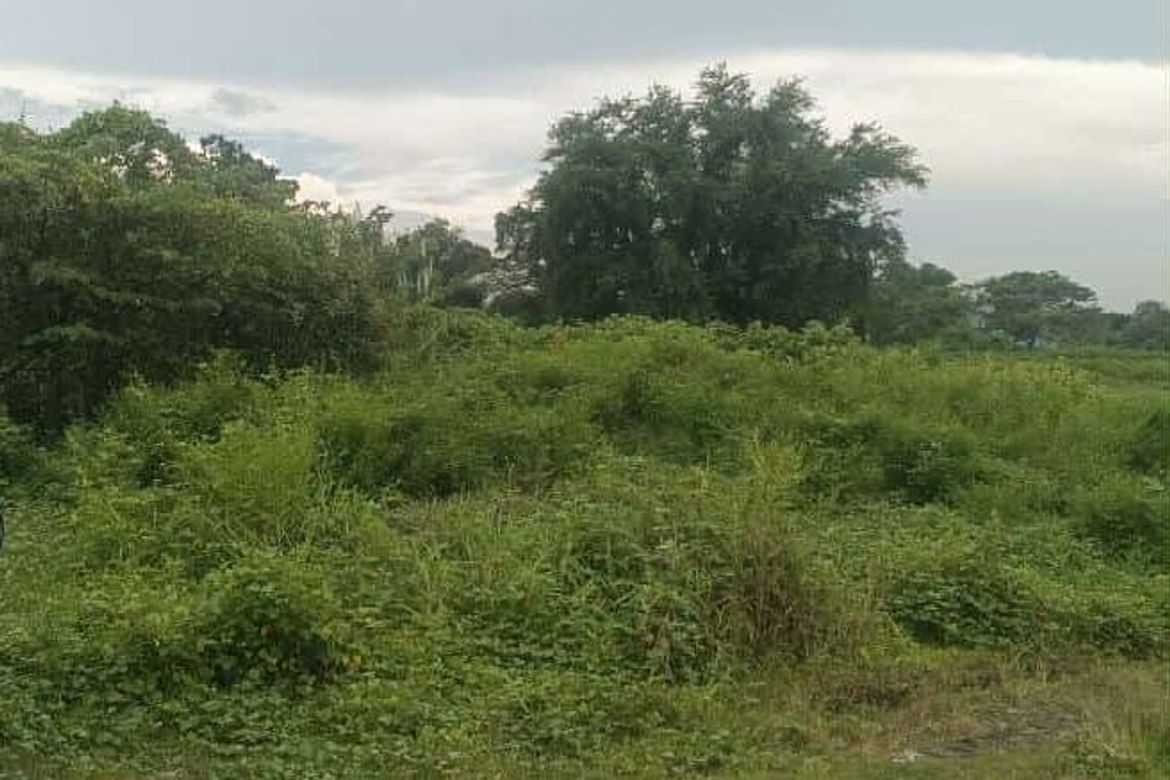 Land for Sale in San Jose, Concepcion, Tarlac – photo 3