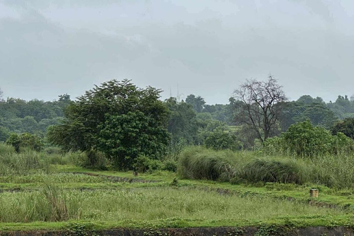 Land for Sale in San Jose, Concepcion, Tarlac – photo 6
