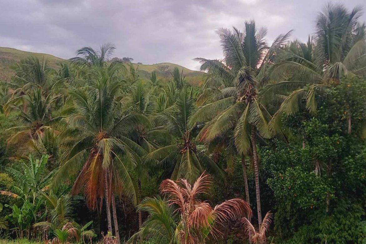 Land for Sale in San Jose, General Santos, South Cotabato