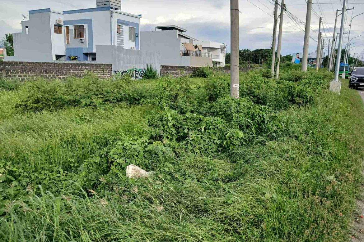Land for Sale in San Jose, Iloilo City, Iloilo – photo 3