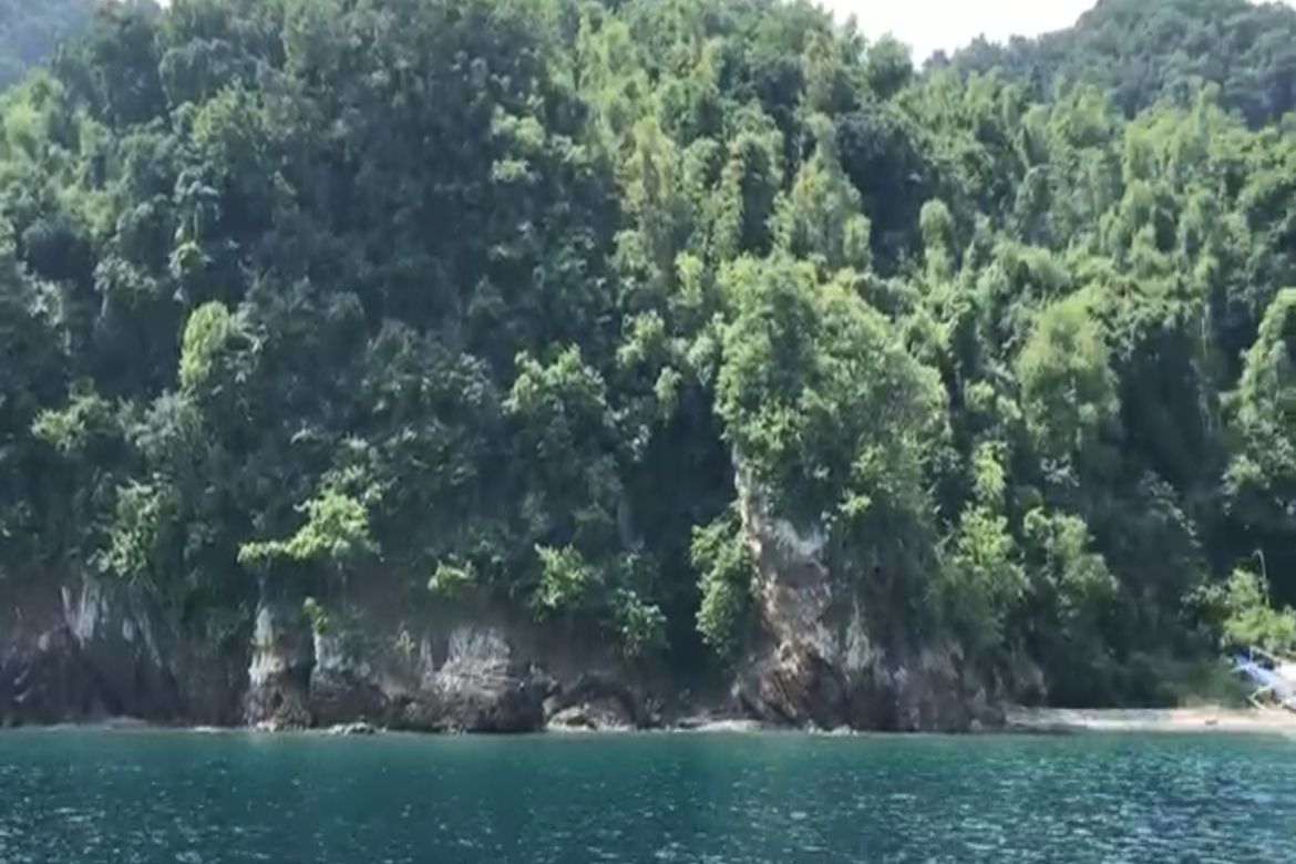 Land for Sale in San Jose, Mabini, Batangas – photo 7