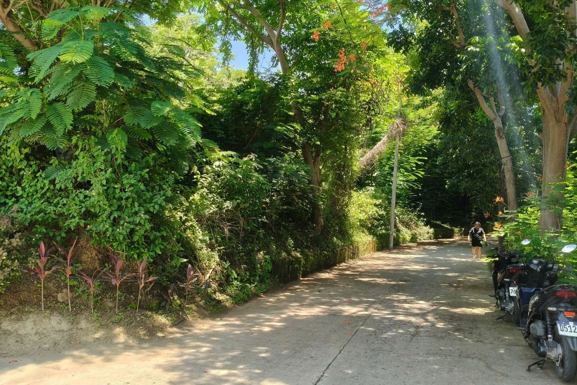 Land for Sale in San Jose, Mabini, Batangas