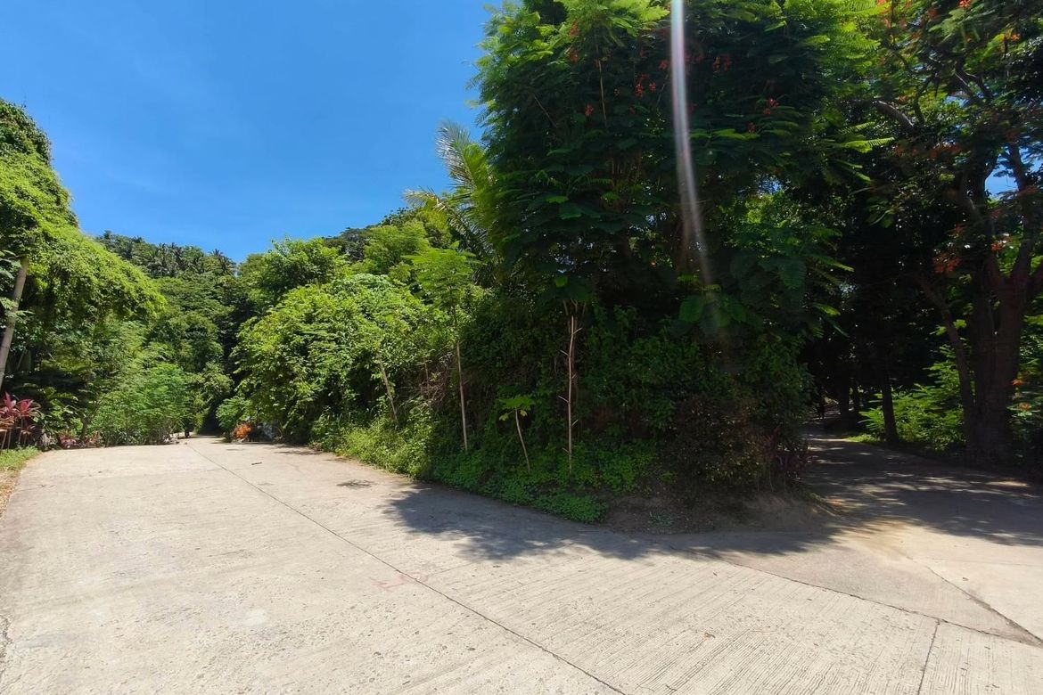 Land for Sale in San Jose, Mabini, Batangas – photo 2