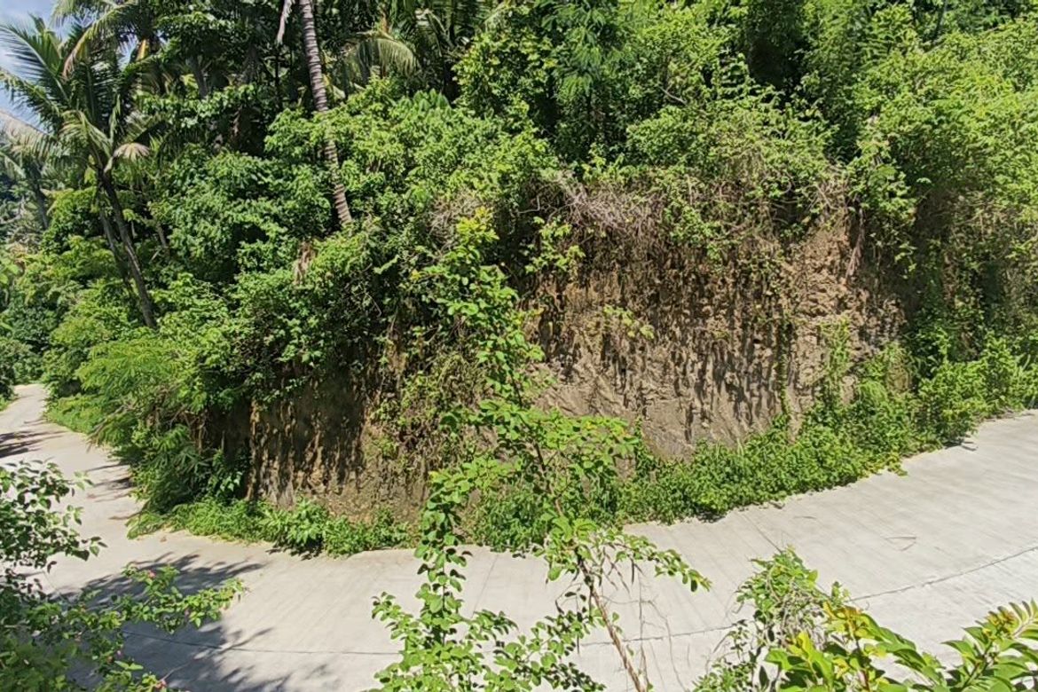 Land for Sale in San Jose, Mabini, Batangas – photo 4
