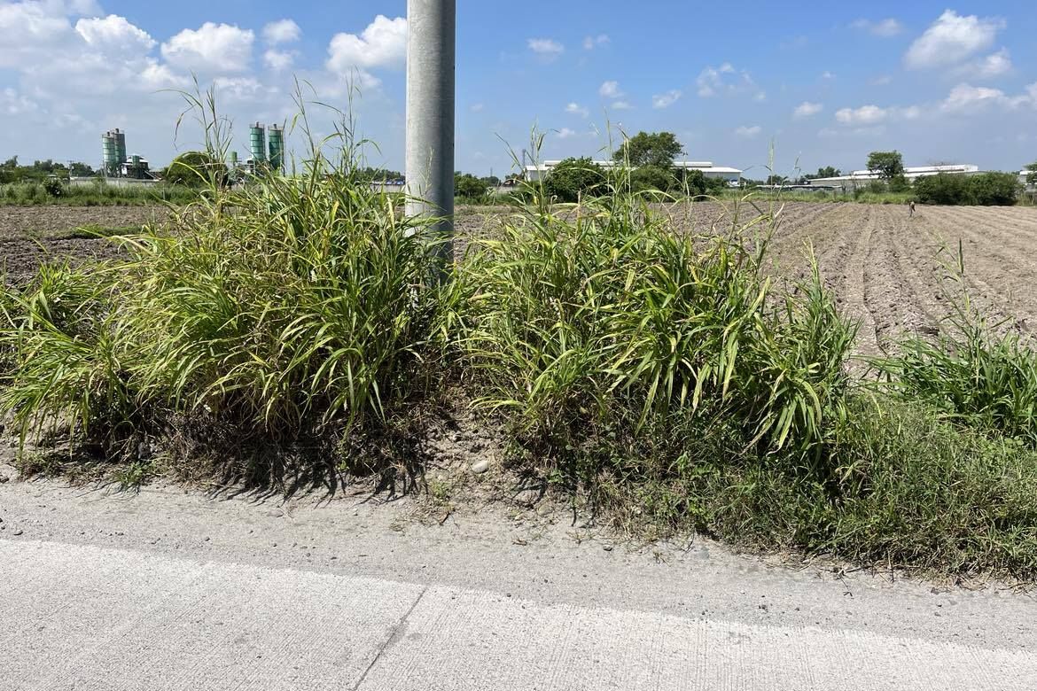 Land for Sale in San Jose Malino, Mexico, Pampanga – photo 2