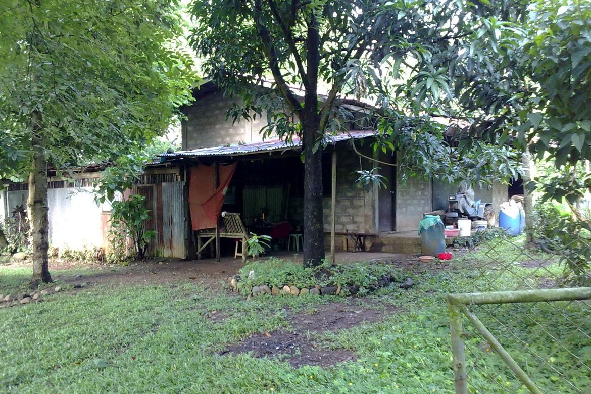 Land for Sale in San Jose Patag, Santa Maria, Bulacan – photo 2