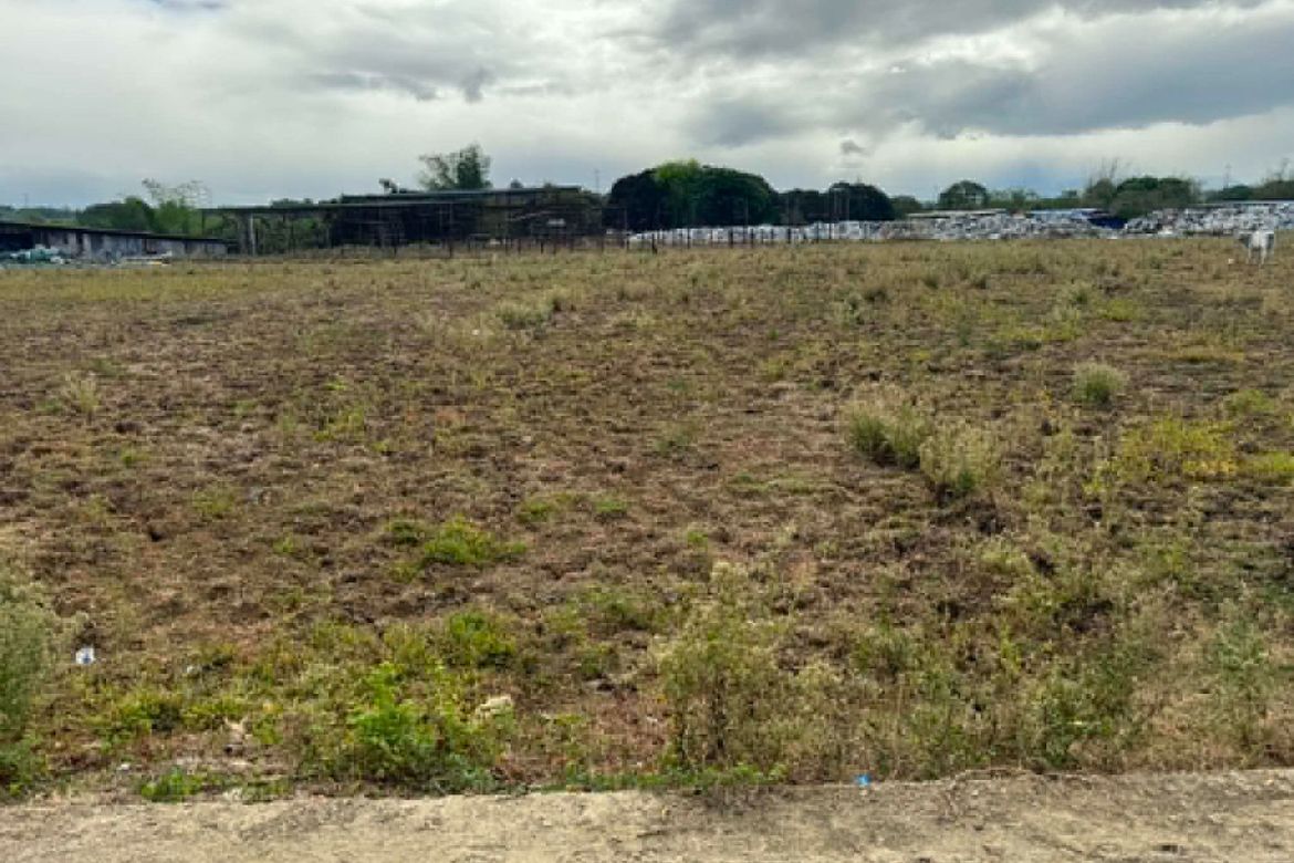 Land for Sale in San Jose Patag, Santa Maria, Bulacan – photo 3
