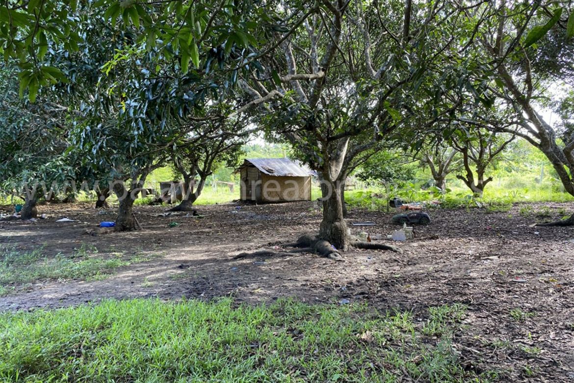 Land for Sale in San Jose, Puerto Princesa, Palawan – photo 4
