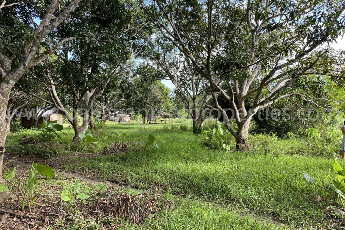 Land for Sale in San Jose, Puerto Princesa, Palawan – photo 5