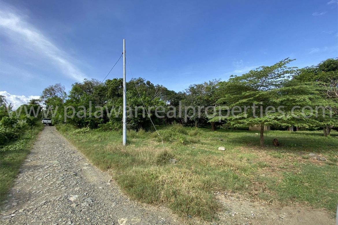 Land for Sale in San Jose, Puerto Princesa, Palawan – photo 6