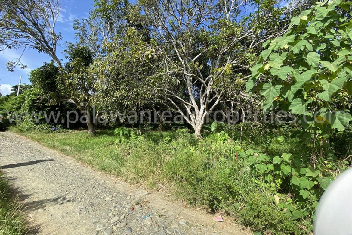 Land for Sale in San Jose, Puerto Princesa, Palawan – photo 8