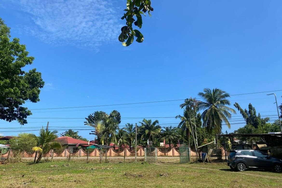 Land for Sale in San Jose, Puerto Princesa, Palawan – photo 3