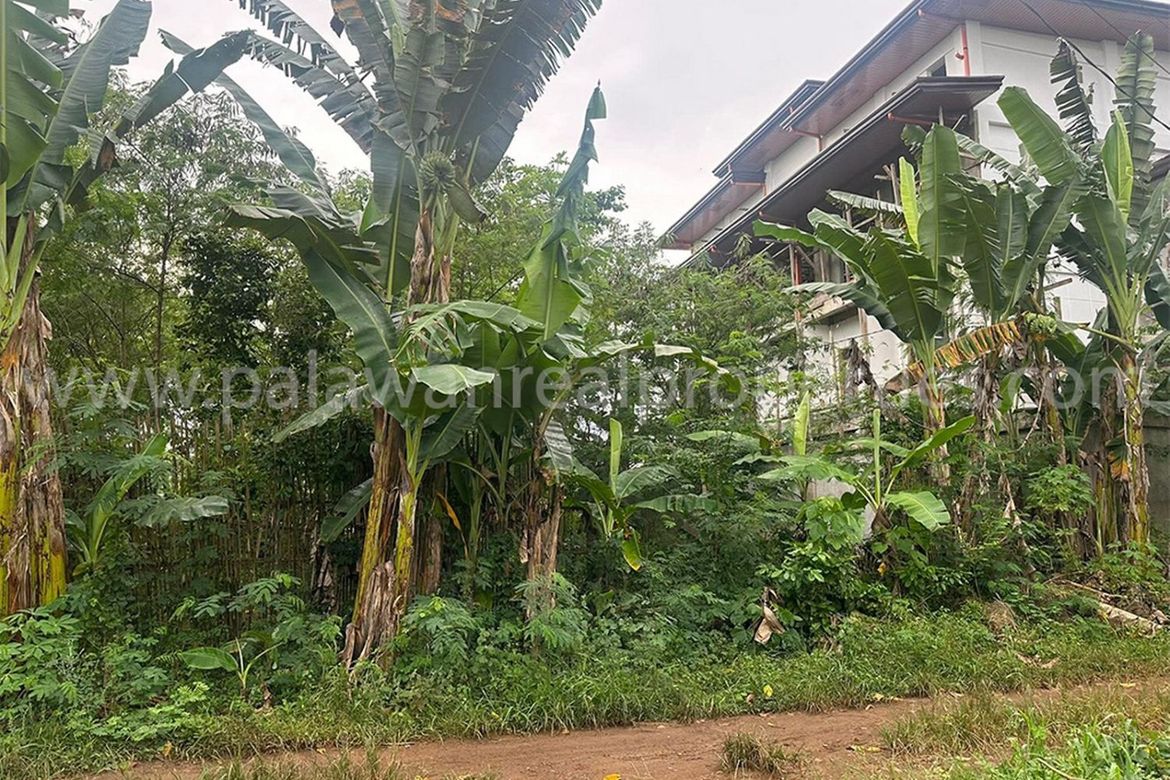 Land for Sale in San Jose, Puerto Princesa, Palawan