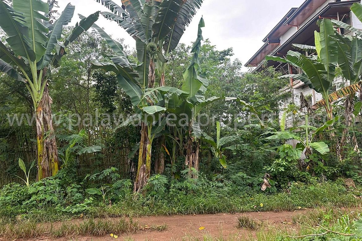 Land for Sale in San Jose, Puerto Princesa, Palawan – photo 2