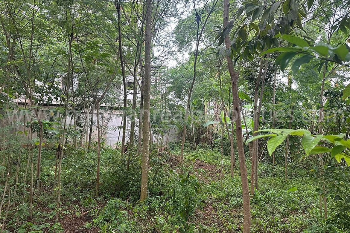 Land for Sale in San Jose, Puerto Princesa, Palawan – photo 4